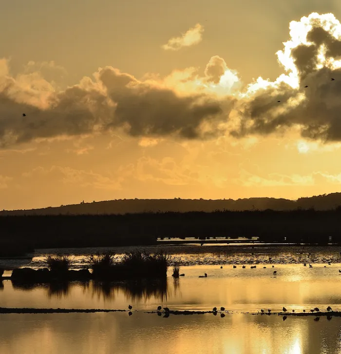 A golden sunset over Oare Marshes, the sun reflecting on the water.