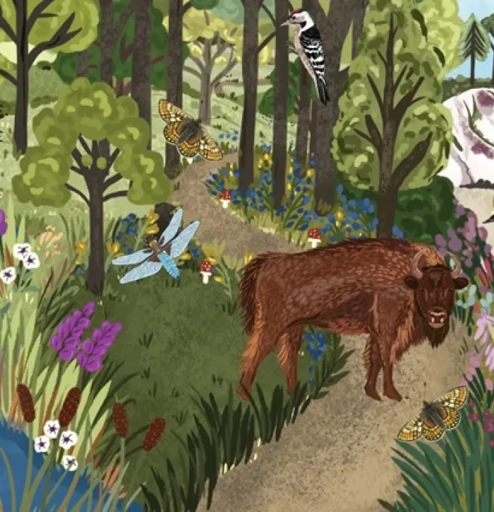 Nature Restoration Fund image