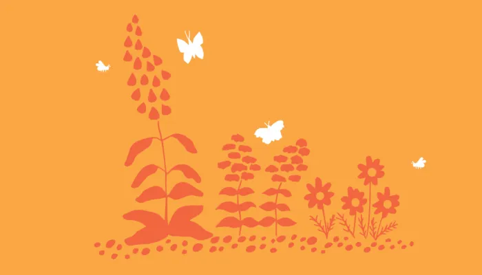 gravel garden illustration