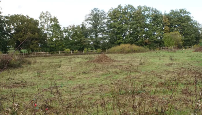 Pluckley Nature Reserve 