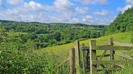 Queendown Warren, photo by Selwyn Dennis