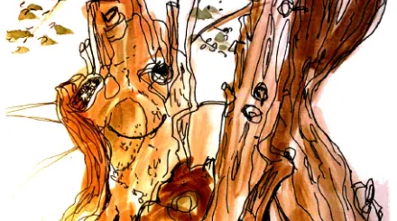 The Ash Tree's Story