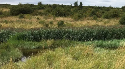 Swanscome peninsula by London Resort