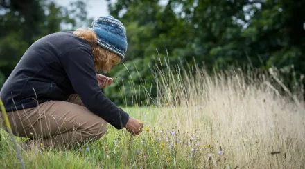 Trinity Broad surveying