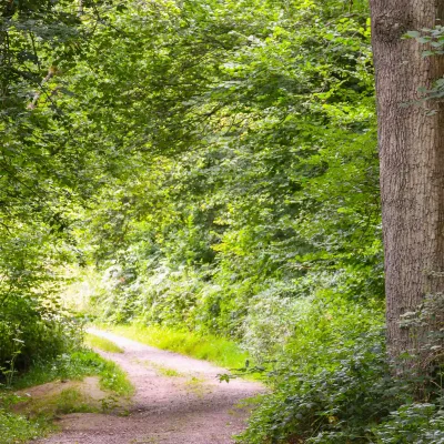 Turning back the clock