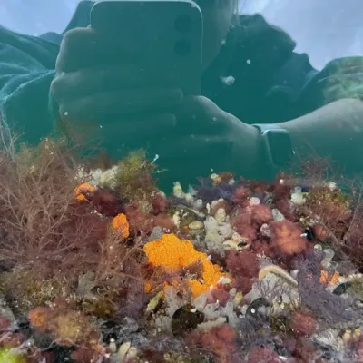 Invasive species monitoring.