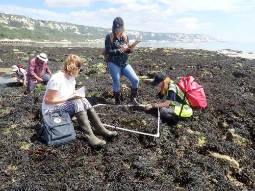 Shoresearch Volunteers