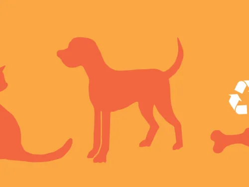 eco pet illustration