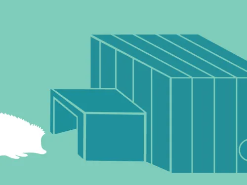 hedgehog house illustration