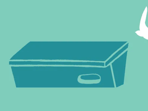 swift box illustration