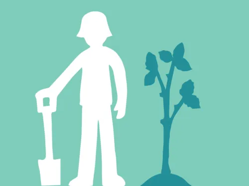 tree planting illustration