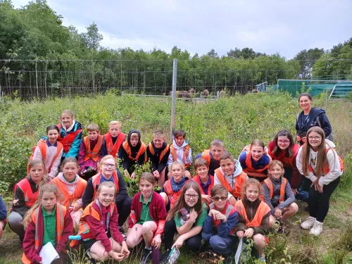 Wilder Schools - Hoath