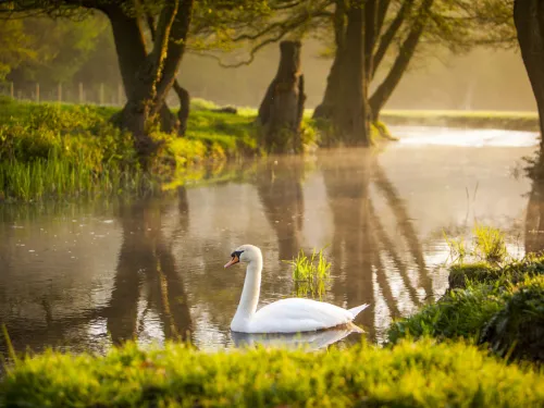 River Darent 
