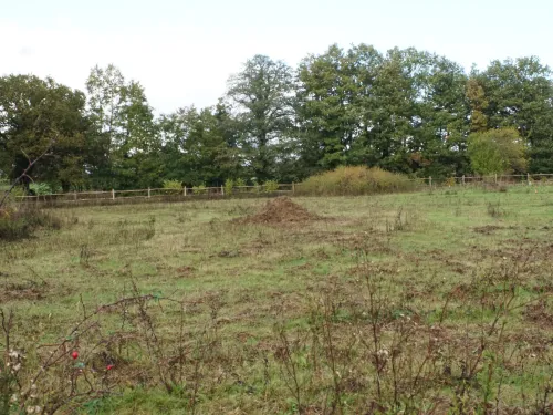 Pluckley Nature Reserve 