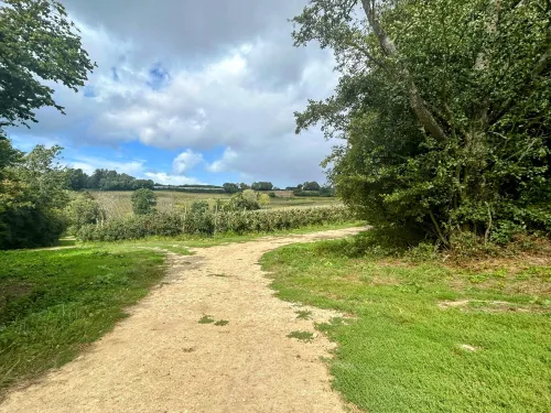 Farmed landscape