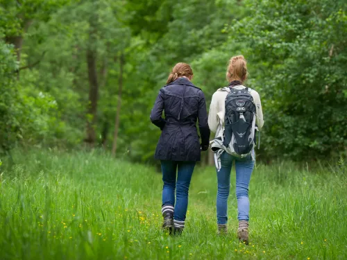two people walking together in a grassy and wooded area with their backs facing the camera